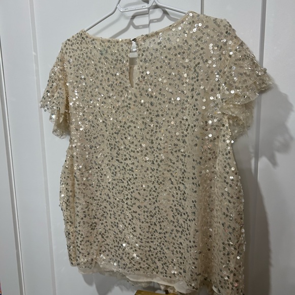 NWOT Sequin Top 2X Anthropologie - fully lined gorgeous top - Picture 4 of 6